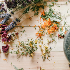 Don’t Let Your Herbs Go to Waste