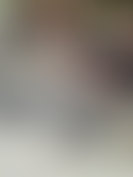 Mississippi-Record Alligator Weighed 800 Pounds