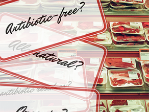 Antibiotic-Free Meat Buying Guide
