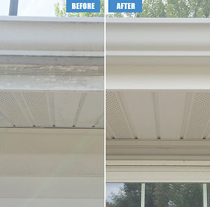 Mold on house