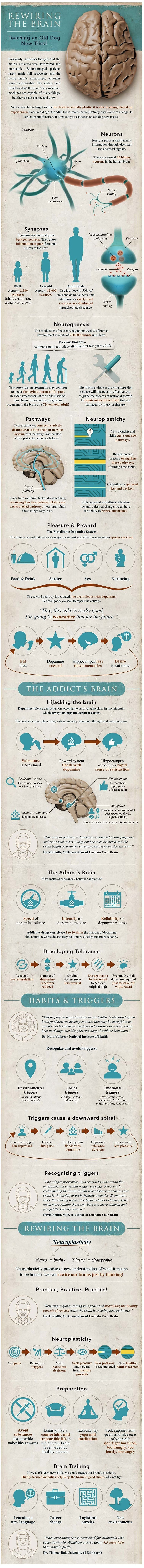 neuroplasticidade.jpg