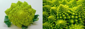 Fracta3l-BrocolisRomanesco.jpg