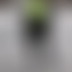 Como vestir si tienes cuerpo con forma de pera o triangulo