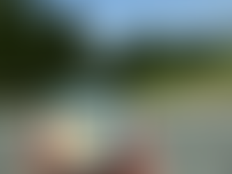 Projekt Eis Greissler: 25 neue            E-Ladestationen – ein voller Erfolg!