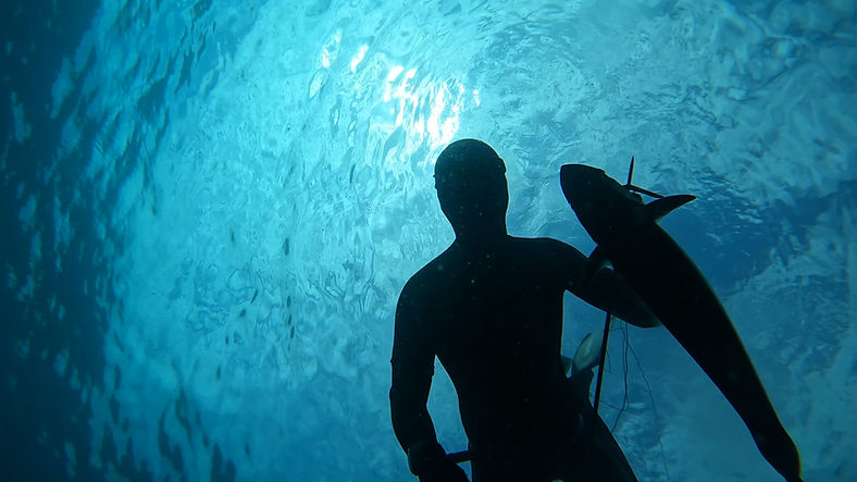 spearfishing in phuket.JPG