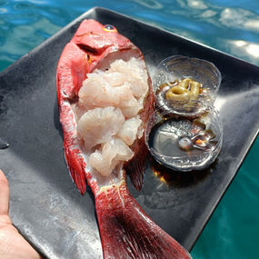 spearfishing in phuket