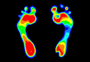 fisioterapia; RPG; densitometria óssea; radiologia; baropodometria; artroscopia; Arthros