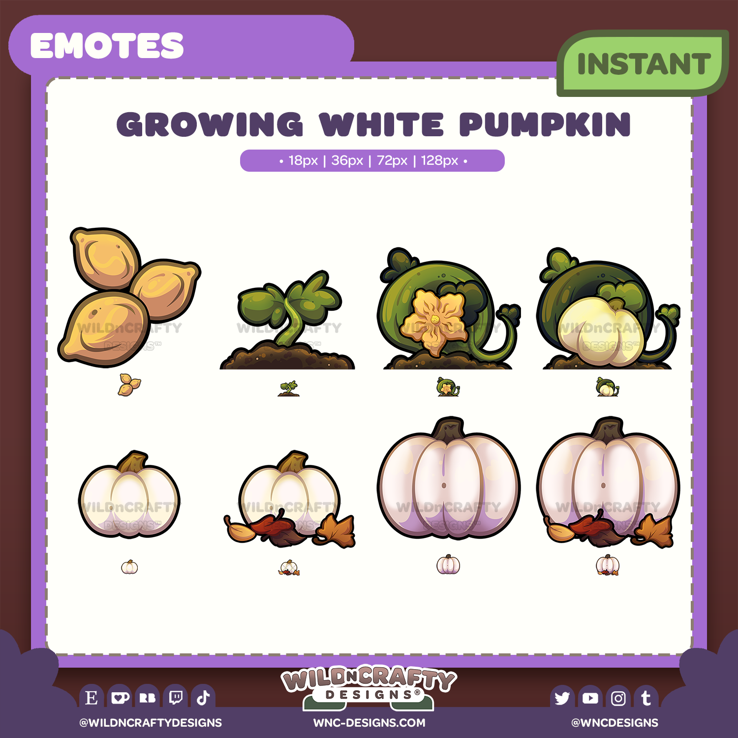 8 Growing White Pumpkin Badges