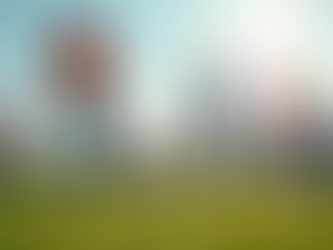 The Impact of Community Sports Programs on Local Business Growth