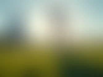 Building Connections Through Local Sports Programs