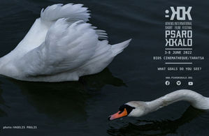 Psarokokalo_Swan.jpg