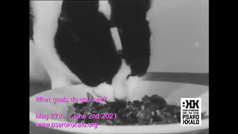 13o Psarokokalo_ Poster.png