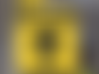 O Misterioso Acervo Alienígena do Governo: A Revelação Chocante de um Ex-Oficial de Inteligência