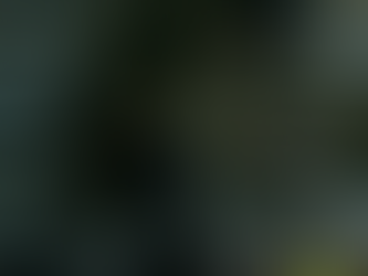 Preparação para o Fim do Mundo: Um Guia Pragmático