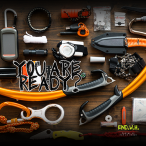 Sobrevivendo ao Fim do Mundo: Dicas Práticas do Manual.