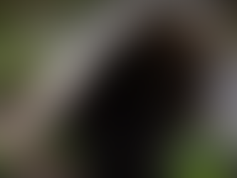 Construindo um Abrigo Subterrâneo: Onde se Esconder no Fim do Mundo.