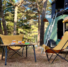 Pure mini camper teardrop caravan Among the pine trees.