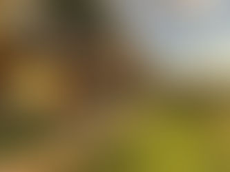 Explore the Pure Camper Mini Caravan, designed for seamless adventures and perfect for off-the-beaten-path travel.