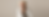 Website_MaikeMajaNowak_Breitformat.png