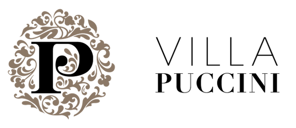 Villa-Puccini_Logo-Horizontal.png
