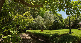 New garden shot 3.JPEG