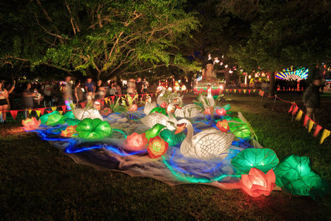 a display of swans and flowers in a park at night