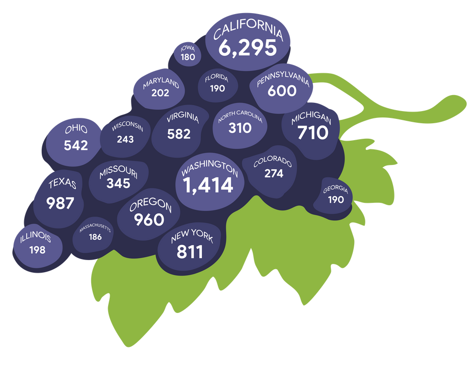 Winery story web infographic