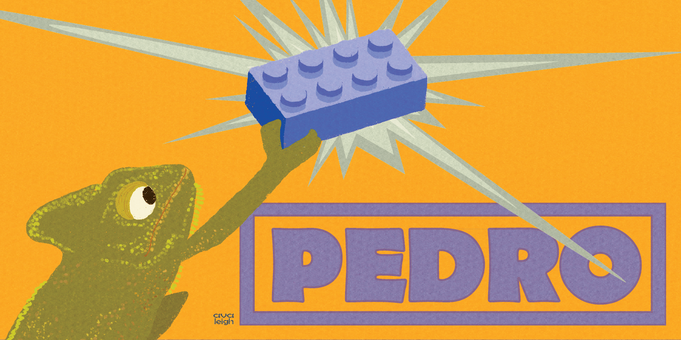pedro-bernhard design-01.png