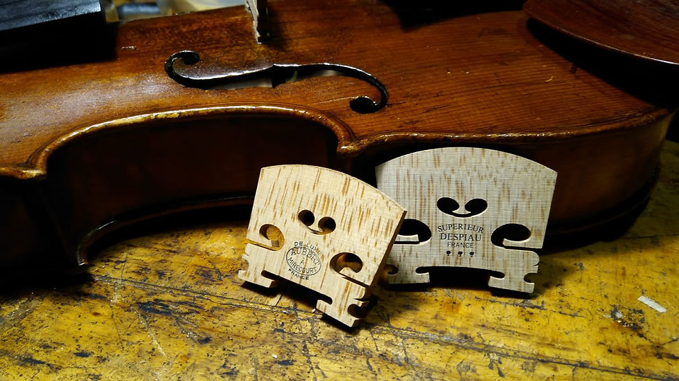 縮圖：Bridges 琴馬 for violin