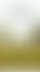 Under the Open Sky Jagran Film Festival