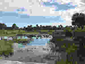The water is one of the main benefits of this park. There are beautiful walking trails.
