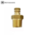 Brass Test Plug for pressure or temperature