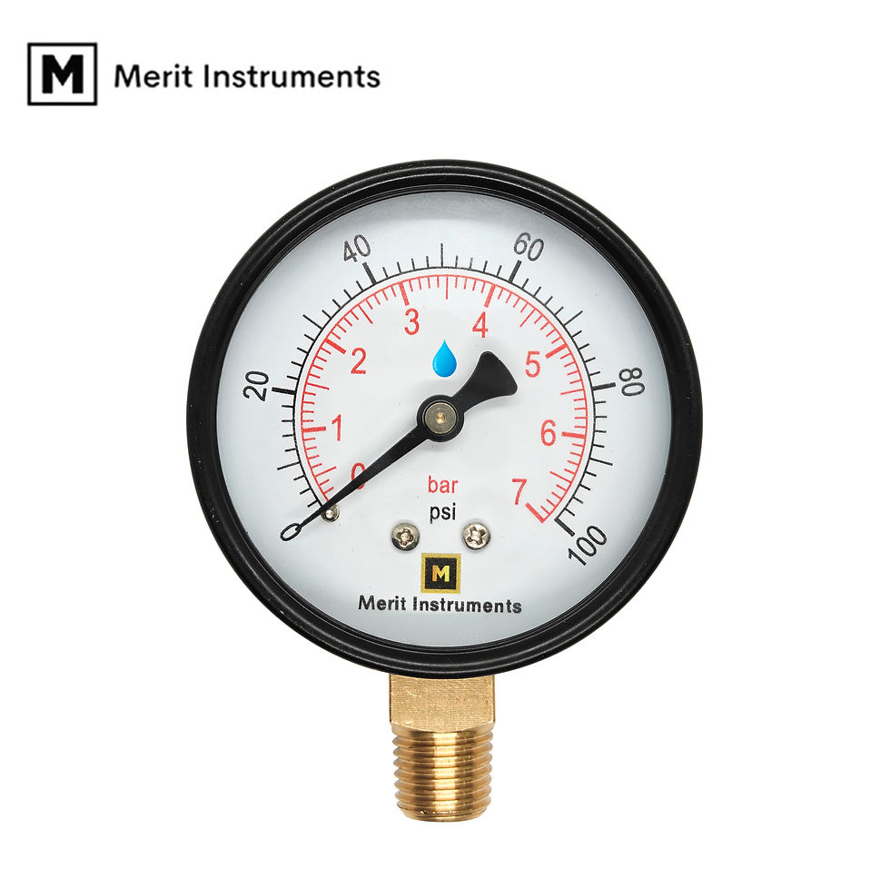 PG Series SDWA Compliant Gauge