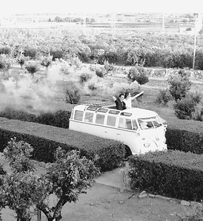 Ribarroja 2023 4K_edited_edited.jpg