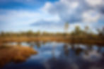 blue sky reflecting in pond