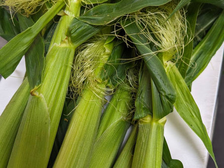 ヤングコーン入荷しました！