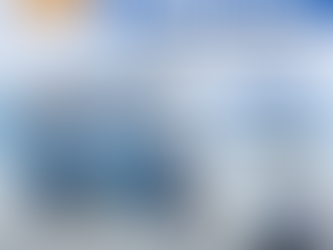 e rickshaw business model