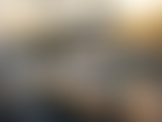 top 10 e rickshaw company