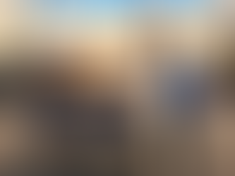 Best 7 Seater e rickshaw company