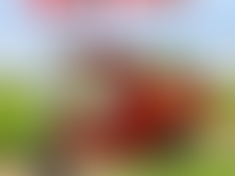 Delivery EV vehicle India