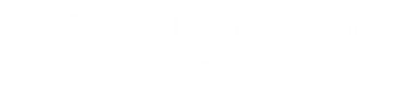 White logo - no background.png