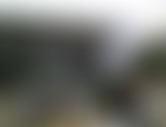 Celebración del día del idioma