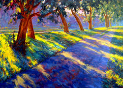 Shadowpath