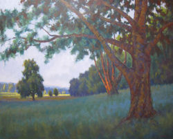 Wooded Hillside