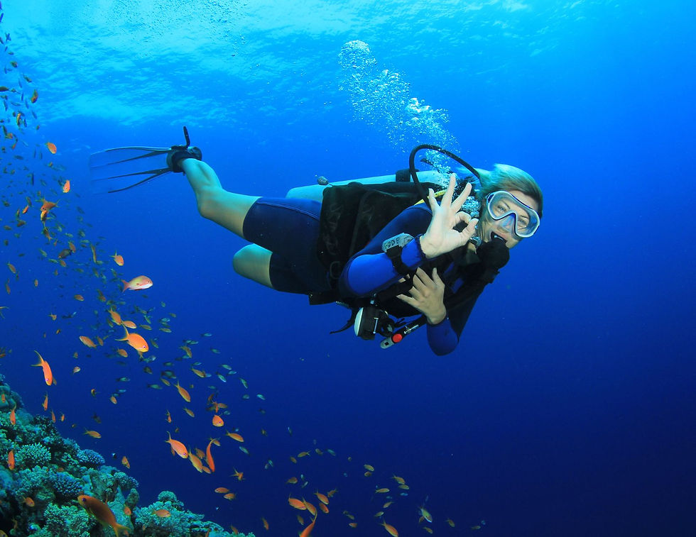 Buceo