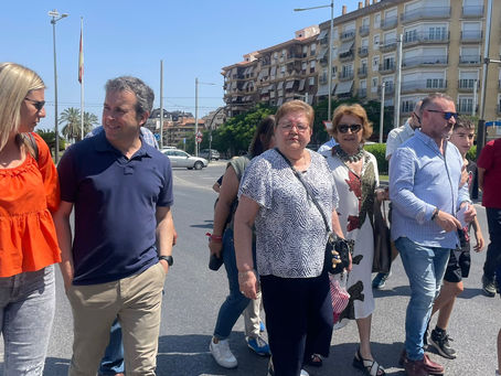 PSOE Ciudad de Jaén se suma a Plataforma por los Servicios Públicos y participa en manifestación de hoy