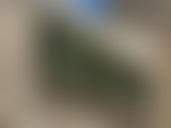 El PSOE pide por escrito a la Junta que realice una inspección del jardín vertical de la Muralla y considera muy grave la descoordinación entre PP y JM+ que ha permitido su instalación sin informes