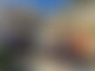 El PSOE y vecinos denuncian que la inacción de PP y JM+ con el casco antiguo provoca una grave situación de insalubridad y riesgo de incendio de los solares de calle Los Macías y Plaza Santiago