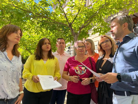 El PSOE y 11 colectivos presionan al alcalde a posicionarse en el pleno con el cese de la concejala 