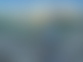 El PSOE denuncia el estado de las zonas verdes de acceso al centro comercial Jaén Plaza y lamenta que PP y JM+ propicien una lamentable imagen de una zona de la ciudad muy visitada